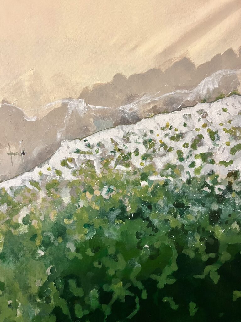 Free surfer - Ozzy Artist